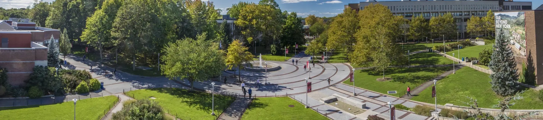 Art History and Criticism